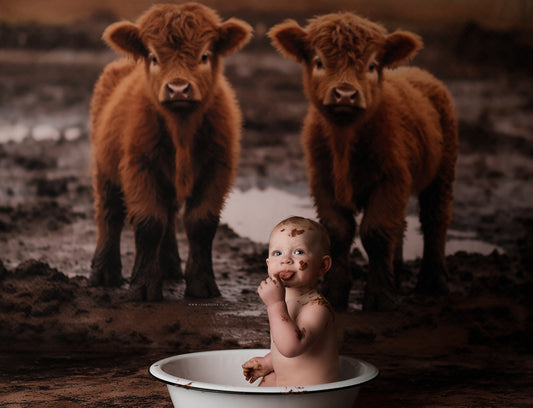 Shop Beautiful High Quality Printed Backdrops