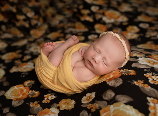 Exploring the Niche of Newborn Photography