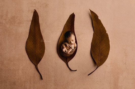 Fall Newborn Digital Backdrops and Tutorials