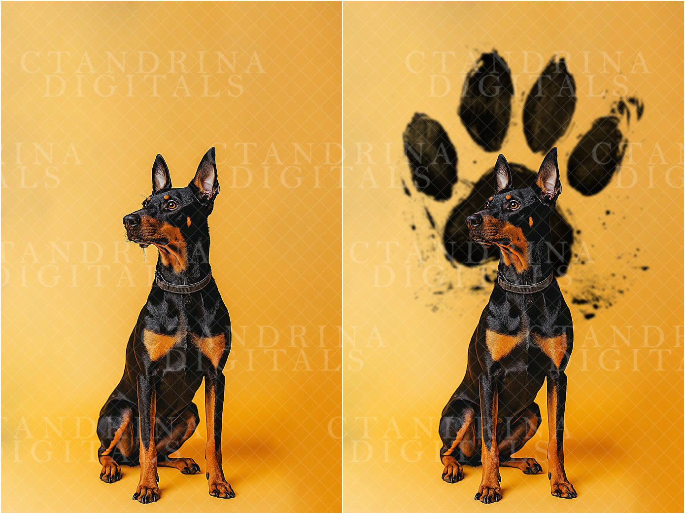 Snoot and Shape Digital Backdrop Overlays