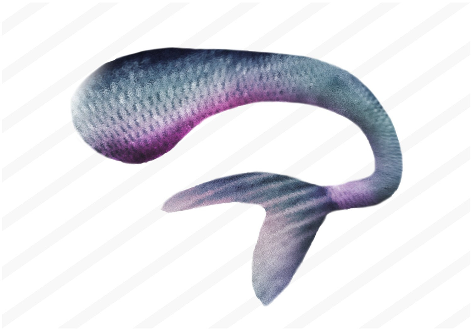 Mermaid Digital Backdrop with Mermaid Tail PNG