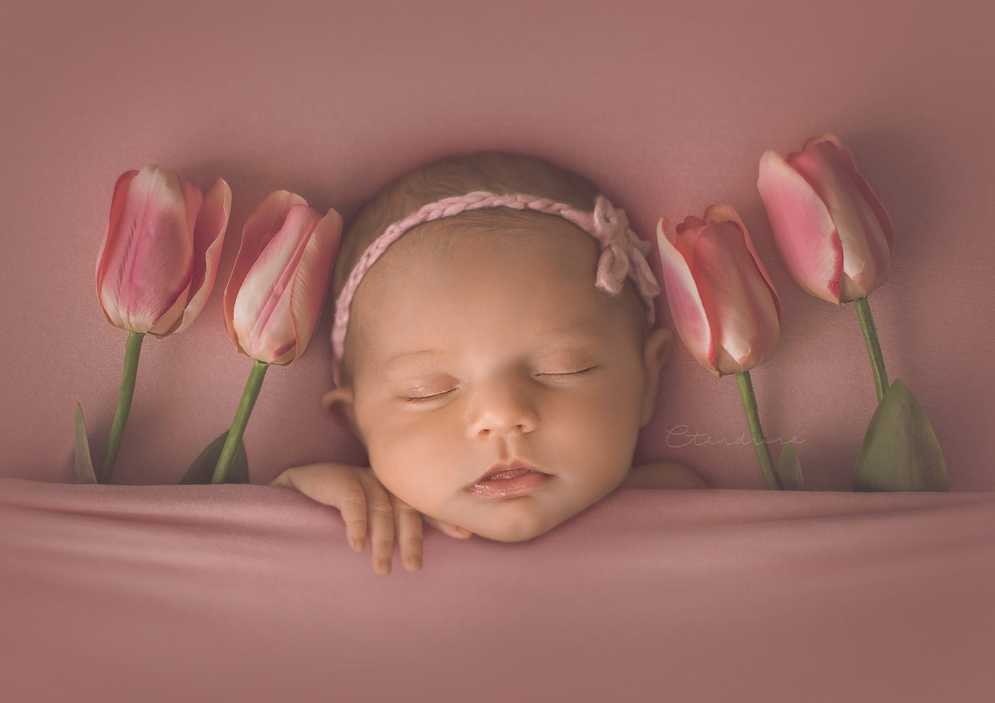 Baby Under Covers with Tulips Newborn Digital Backdrop