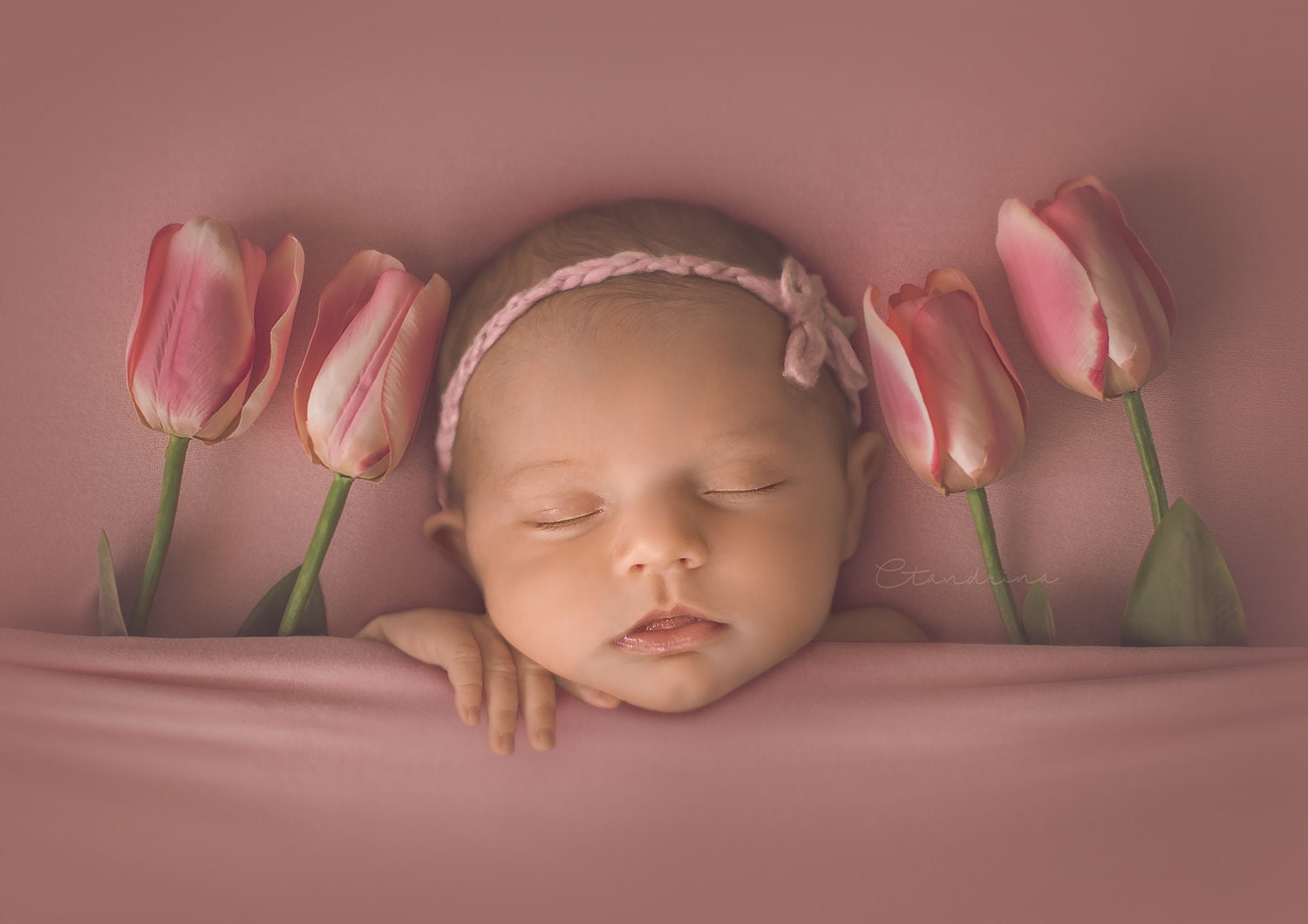 Baby Under Covers with Tulips Newborn Digital Backdrop