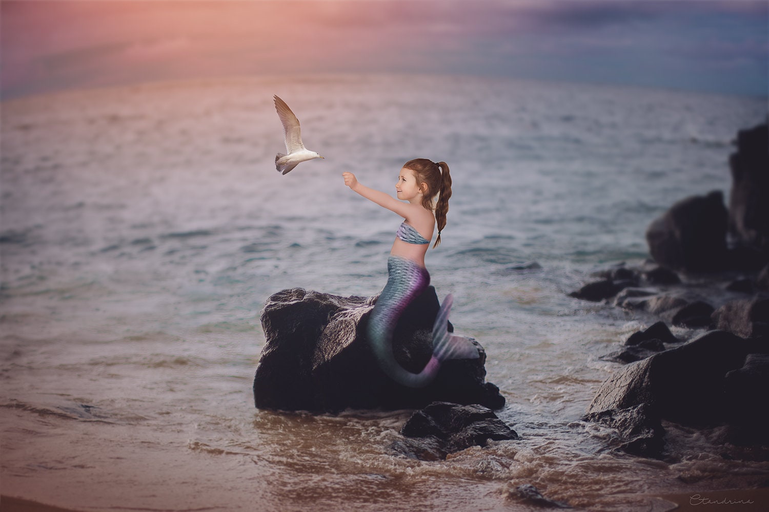 Mermaid Digital Backdrop with Mermaid Tail PNG