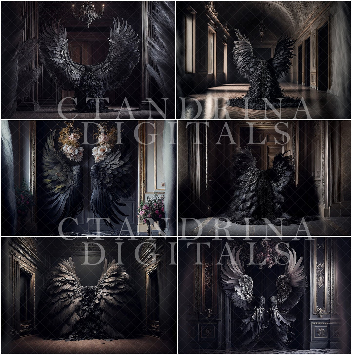 maternity digital backdrops, maternity backdrop overlays,  fine art angel wing backdrops, maternity backdrops best sellers, studio digital backdrops, ctandrina, maternity black wing backdrops, angel wing digital backdrops, dark angel wing backdrops