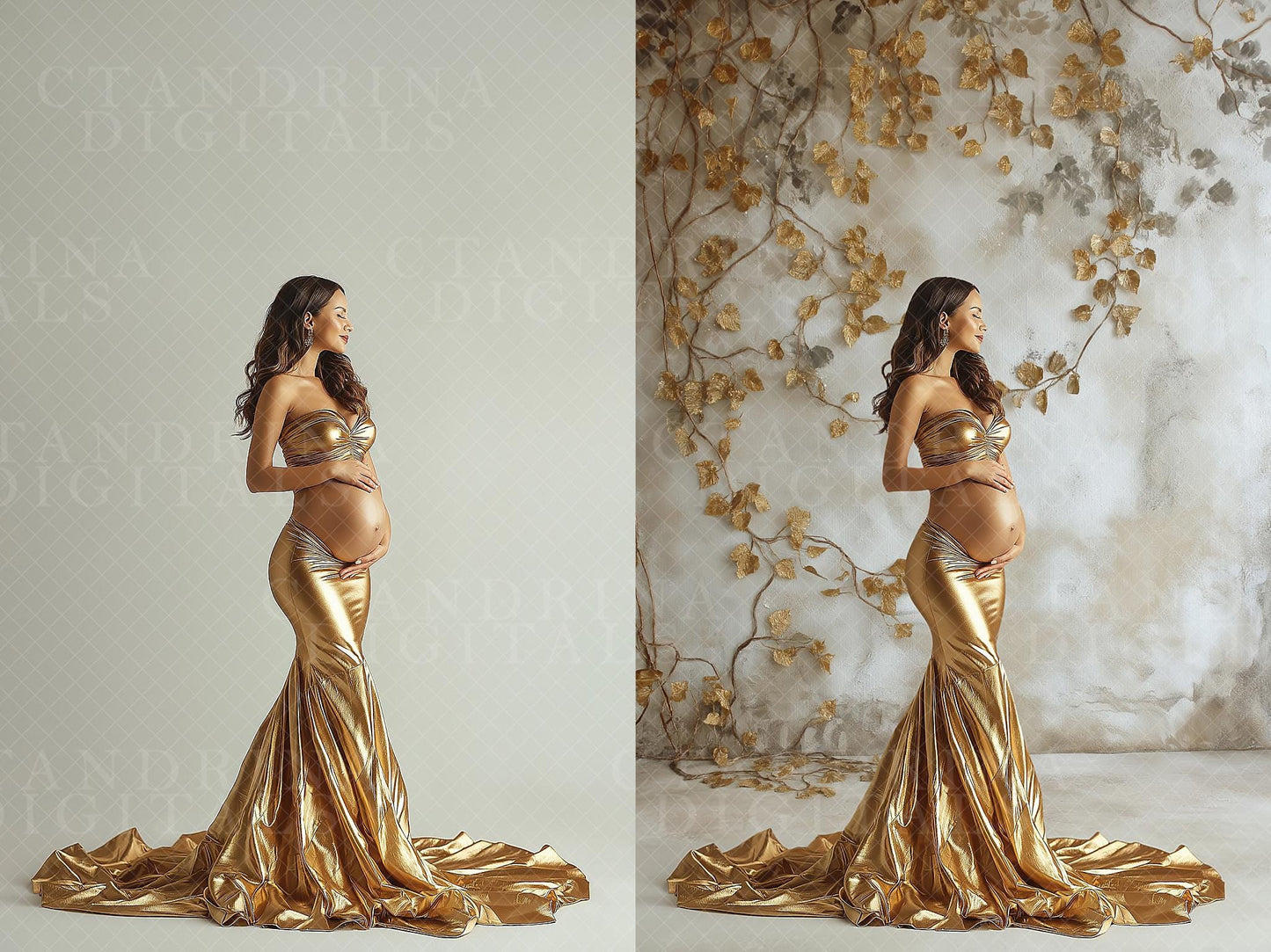 Fall Vine Studio Digital Backdrops, Maternity Digital Backdrops, Autumn Photoshop Digital Backdrops, Fall Leaf Vine Backdrops for Portraits