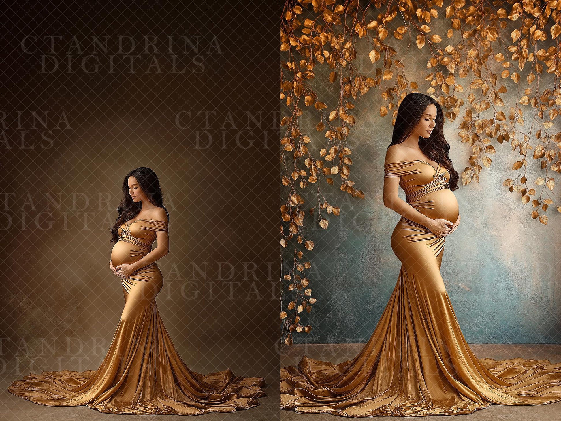 Fall Vine Studio Digital Backdrops, Maternity Digital Backdrops, Autumn Photoshop Digital Backdrops, Fall Leaf Vine Backdrops for Portraits