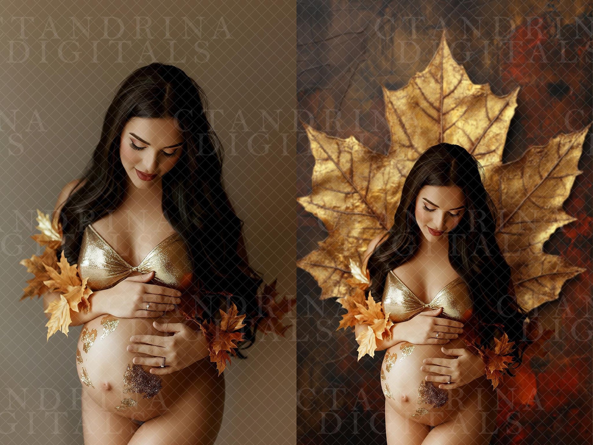 Gold Leaf Studio Digital Backdrops