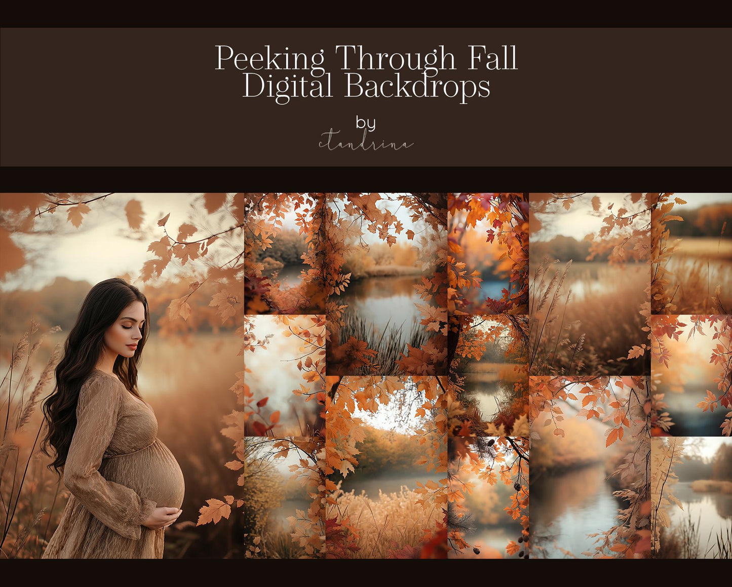 Peeking Through Fall Digital Backdrops, Maternity Digital Backdrops, Autumn Photoshop Digital Backdrops, Dreamy Fall Backdrops for Portraits
