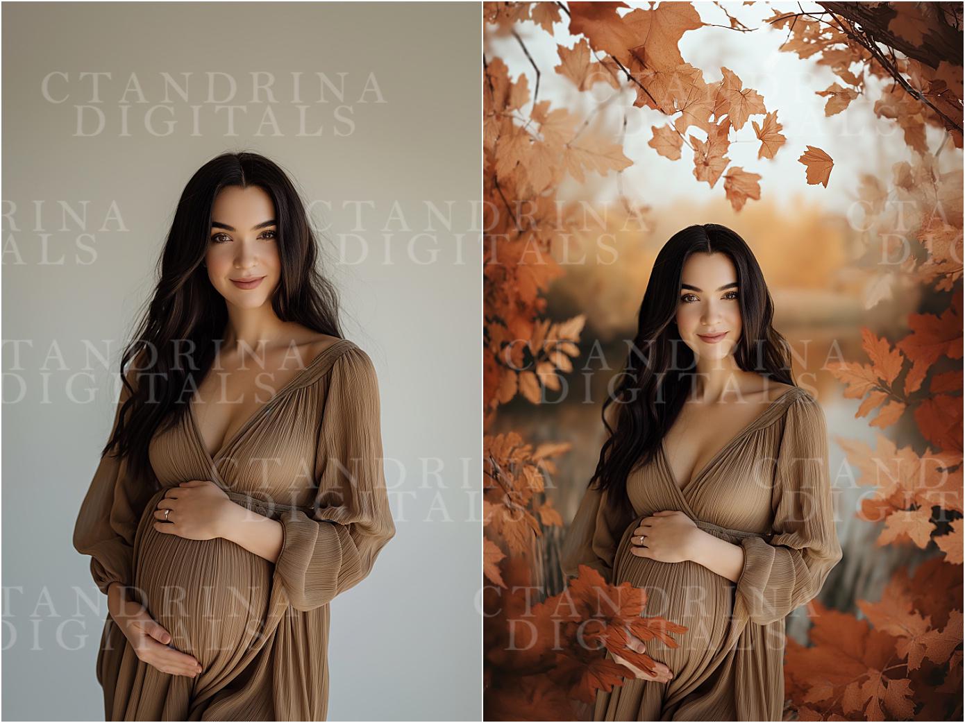Peeking Through Fall Digital Backdrops, Maternity Digital Backdrops, Autumn Photoshop Digital Backdrops, Dreamy Fall Backdrops for Portraits