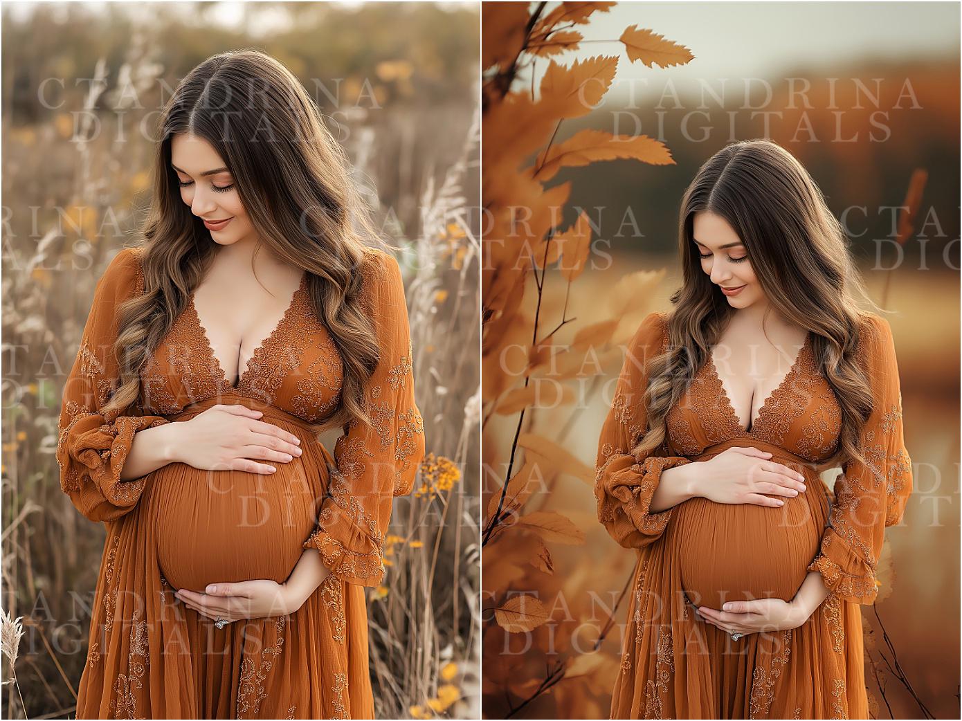 Peeking Through Fall Digital Backdrops, Maternity Digital Backdrops, Autumn Photoshop Digital Backdrops, Dreamy Fall Backdrops for Portraits