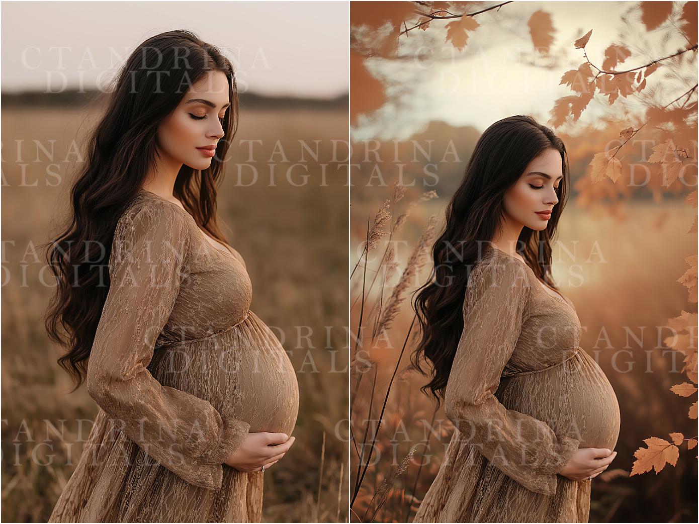 Peeking Through Fall Digital Backdrops, Maternity Digital Backdrops, Autumn Photoshop Digital Backdrops, Dreamy Fall Backdrops for Portraits