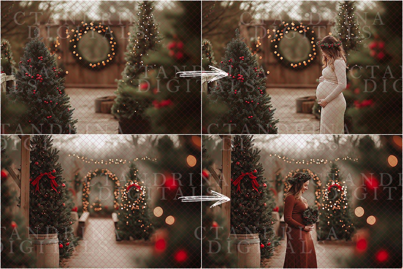 Timeless Christmas Garden Digital Backdrops, Outdoor Christmas Mini Session Digital Backdrops, Digital Backdrops for Portrait Photography