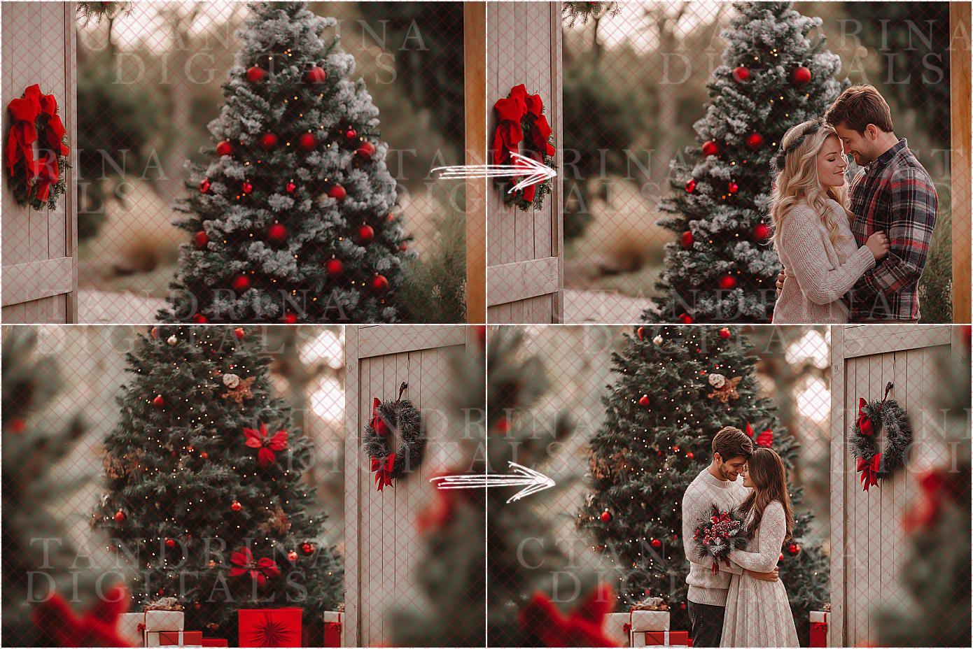 Timeless Christmas Garden Digital Backdrops, Outdoor Christmas Mini Session Digital Backdrops, Digital Backdrops for Portrait Photography