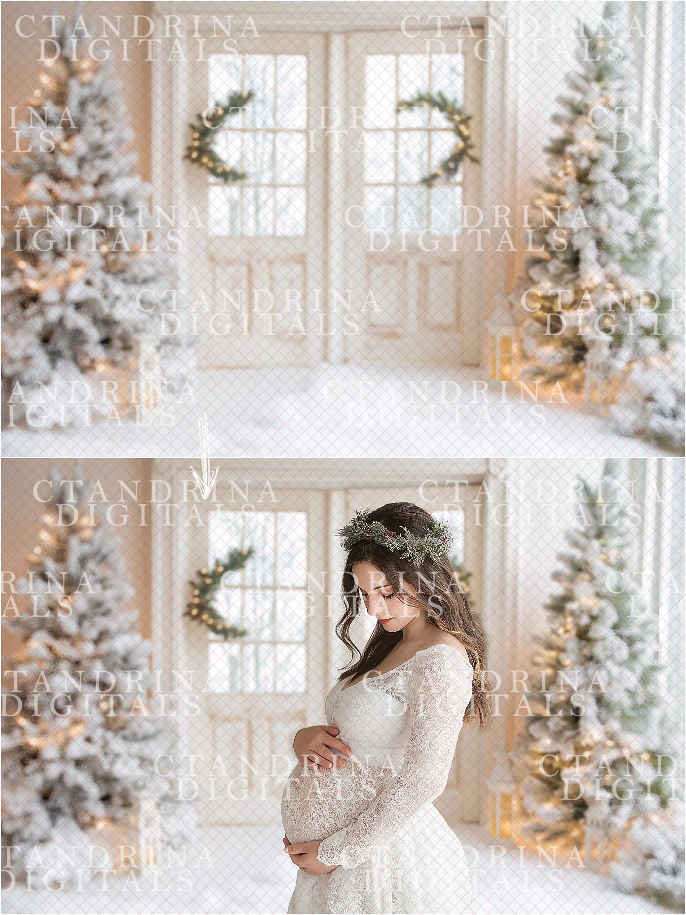 Blurred Festive Christmas Digital Backdrops, Indoor Christmas Mini Session Digital Backdrops, Digital Backdrops for Portrait Photography