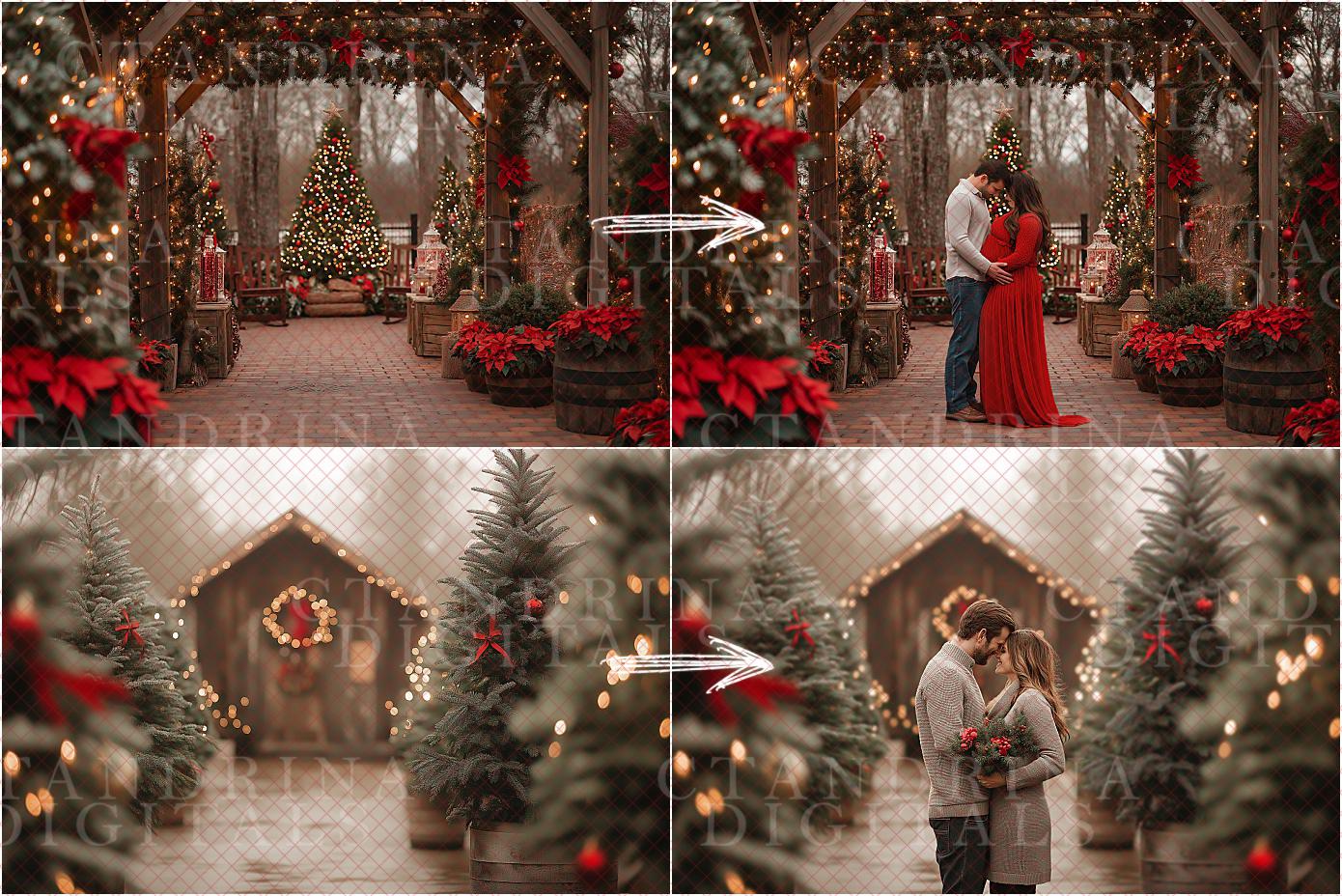 Timeless Christmas Garden Digital Backdrops, Outdoor Christmas Mini Session Digital Backdrops, Digital Backdrops for Portrait Photography