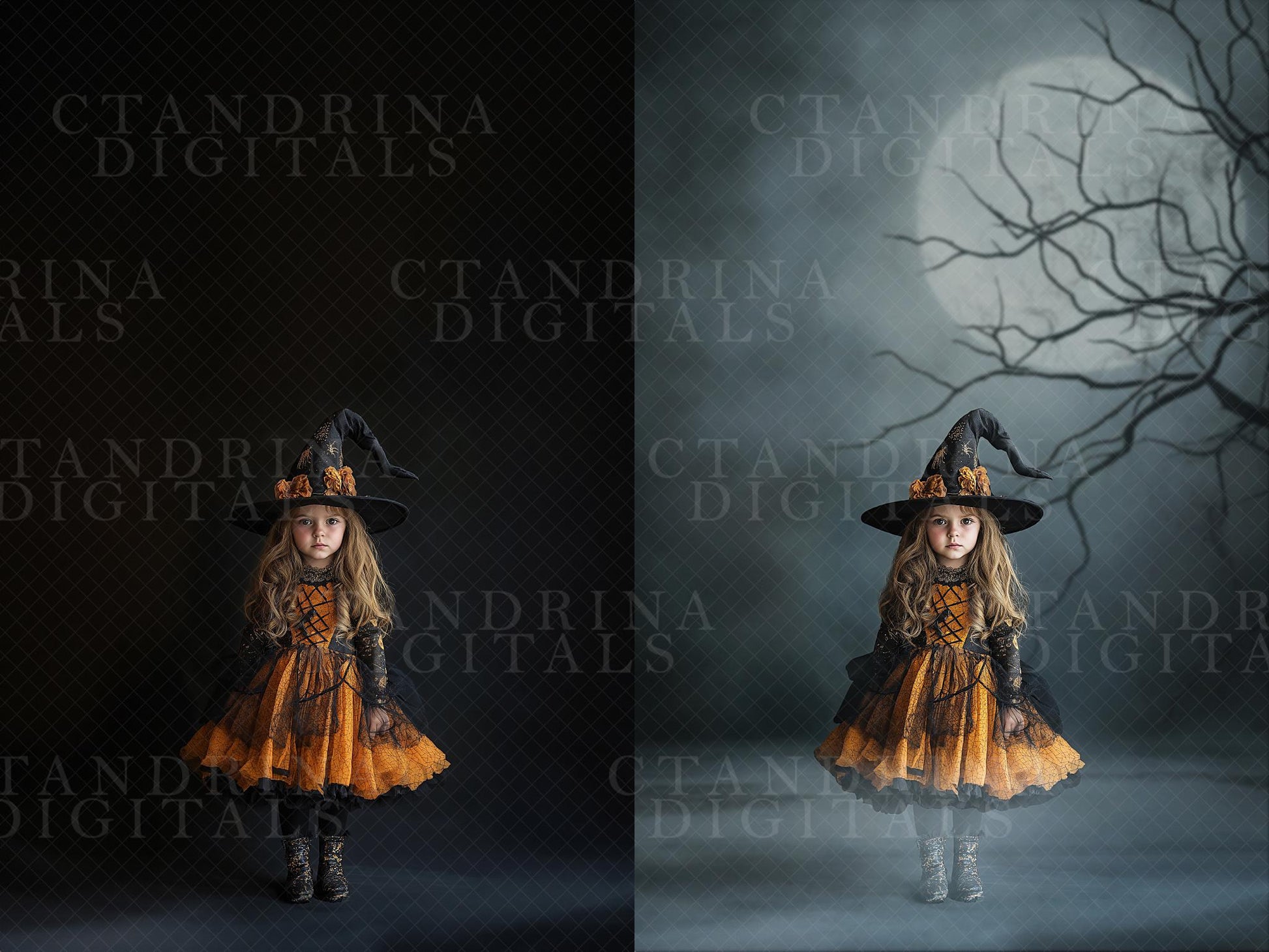 Eerie Fog Digital Backdrop Overlays, Spooky Studio Digital Backgrounds, Halloween Digital Backdrops, Digital Backdrop Overlays for Photoshop
