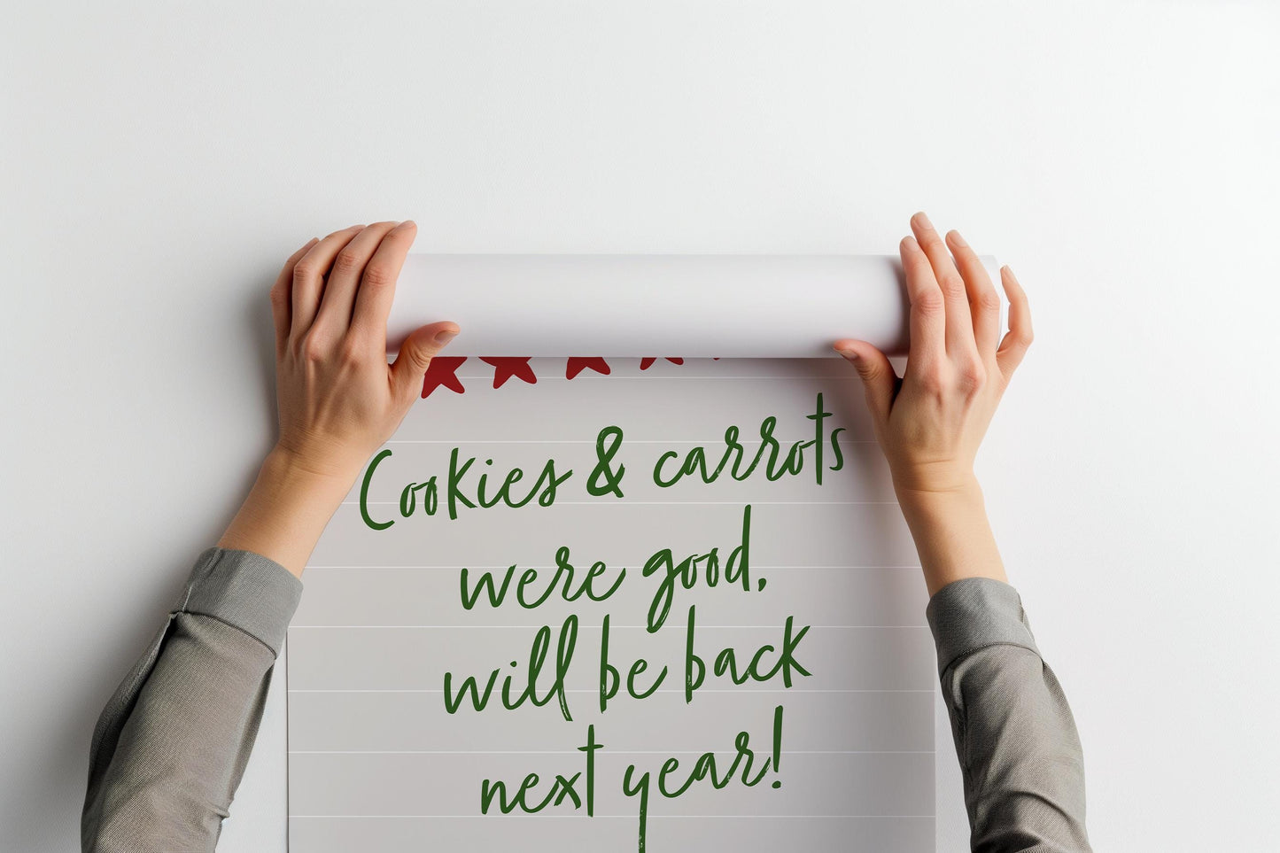 Santa Cookie and Carrot Review PRINTABLE