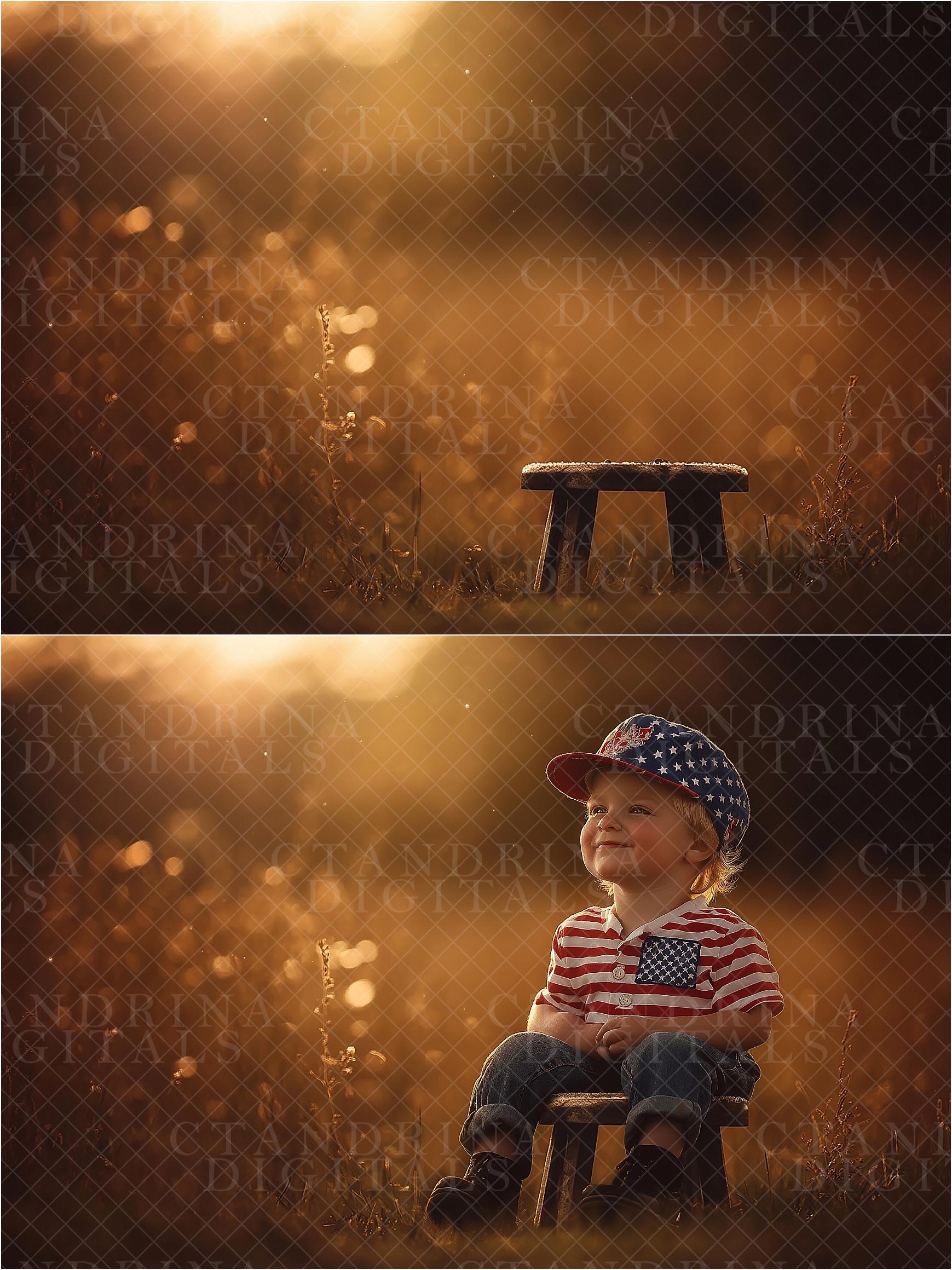 Fall Digital Backdrops, Dreamy Fall Field Backgrounds, Wood Stool Autumn Digitals, Golden Light Backdrops for Photography, Fall Scenes