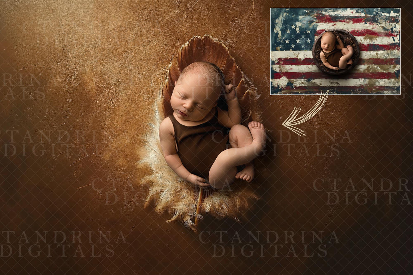 Feather Newborn Digital Backdrop, Thanksgiving Newborn Digital Background, Baby Backdrop, Turkey Baby Digital Backdrop for Photoshop