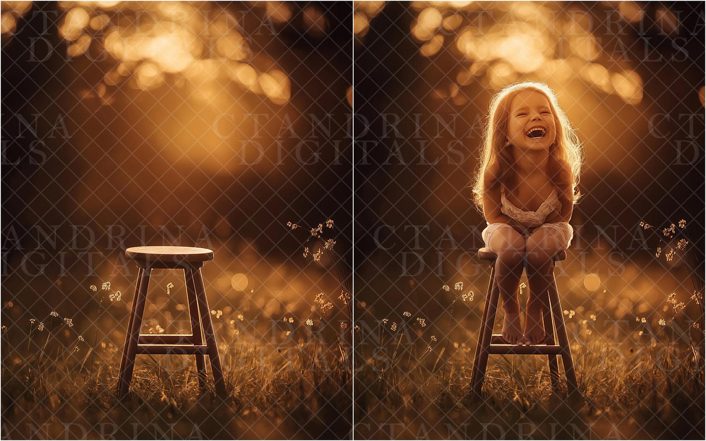 Fall Digital Backdrops, Dreamy Fall Field Backgrounds, Wood Stool Autumn Digitals, Golden Light Backdrops for Photography, Fall Scenes