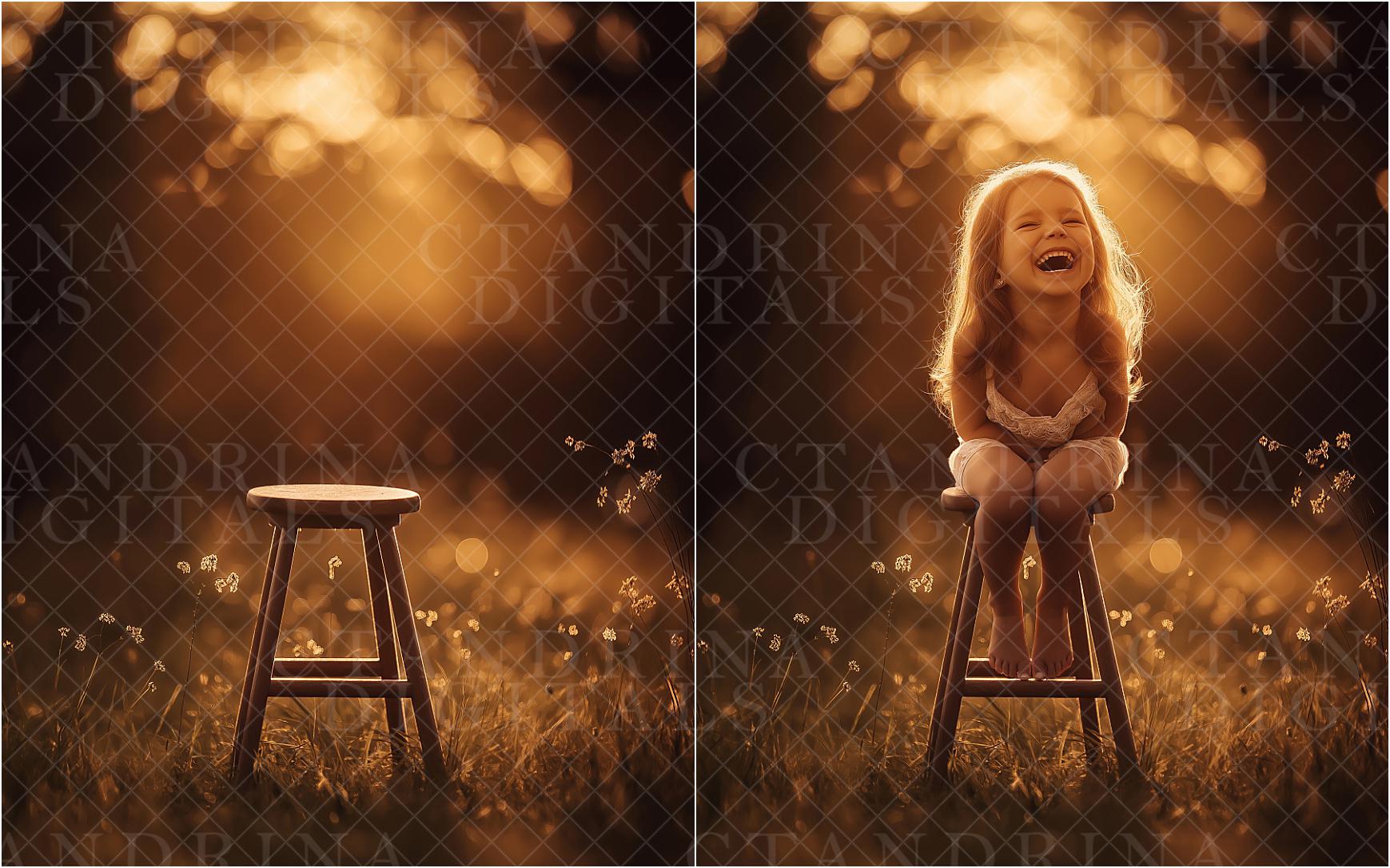 Fall Digital Backdrops, Dreamy Fall Field Backgrounds, Wood Stool Autumn Digitals, Golden Light Backdrops for Photography, Fall Scenes