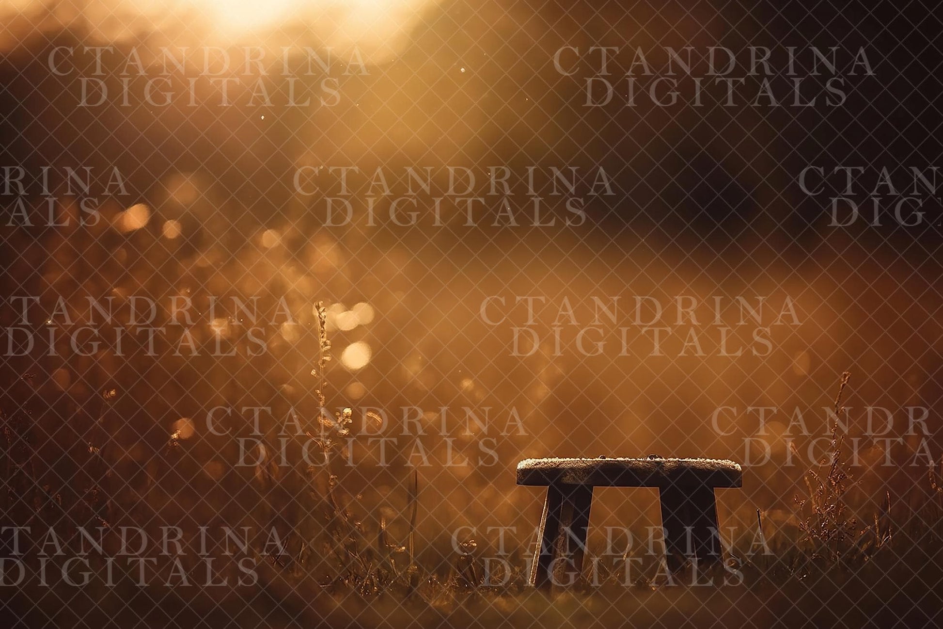 Fall Digital Backdrops, Dreamy Fall Field Backgrounds, Wood Stool Autumn Digitals, Golden Light Backdrops for Photography, Fall Scenes