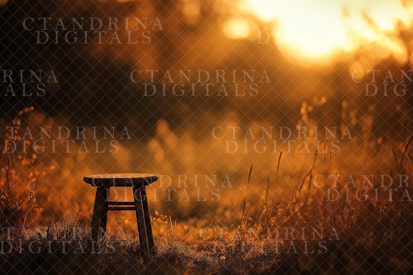 Fall Digital Backdrops, Dreamy Fall Field Backgrounds, Wood Stool Autumn Digitals, Golden Light Backdrops for Photography, Fall Scenes