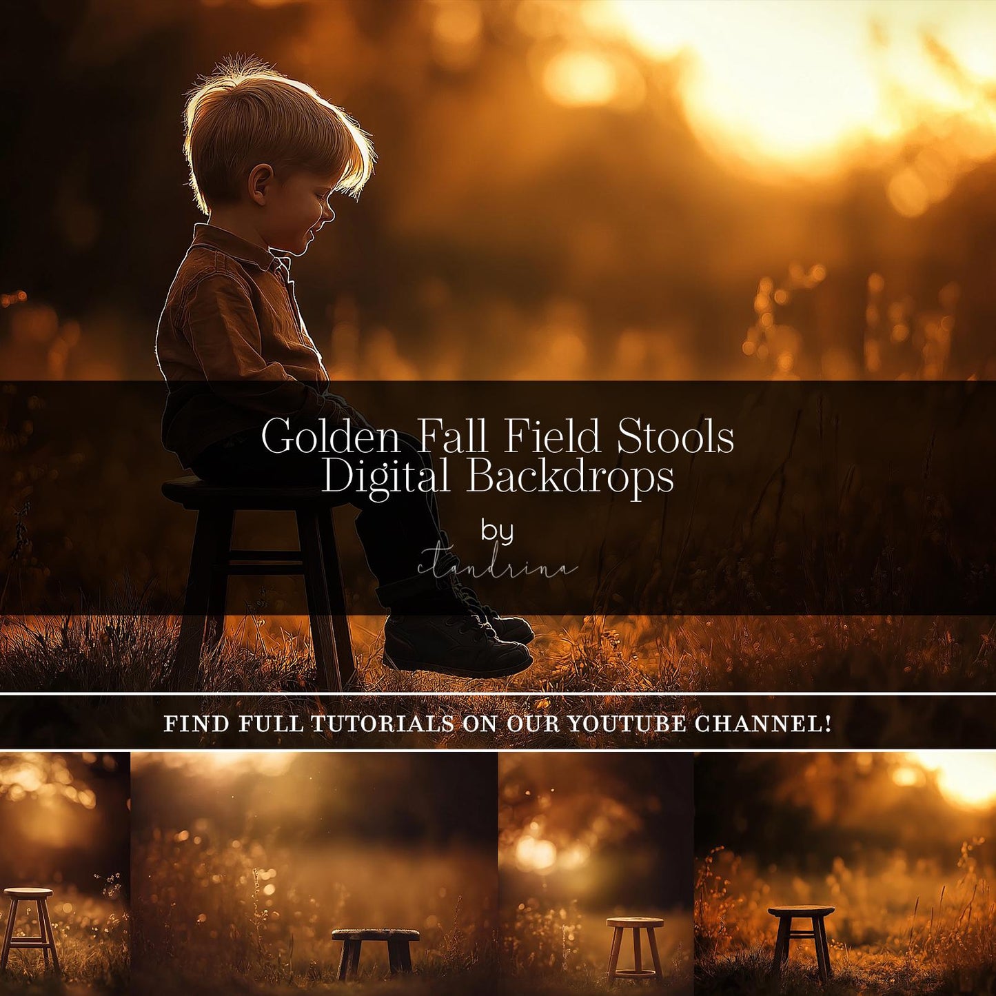 Fall Digital Backdrops, Dreamy Fall Field Backgrounds, Wood Stool Autumn Digitals, Golden Light Backdrops for Photography, Fall Scenes