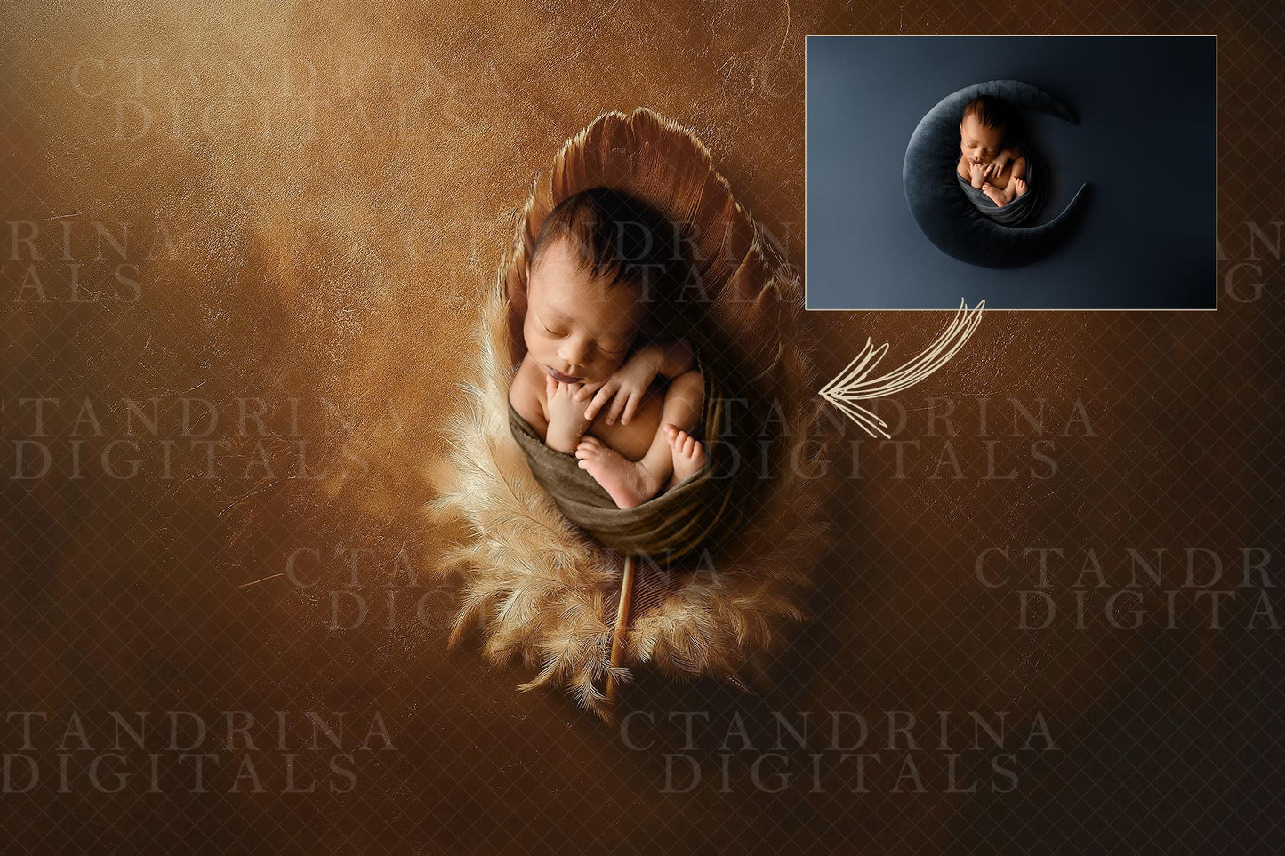 Feather Newborn Digital Backdrop, Thanksgiving Newborn Digital Background, Baby Backdrop, Turkey Baby Digital Backdrop for Photoshop