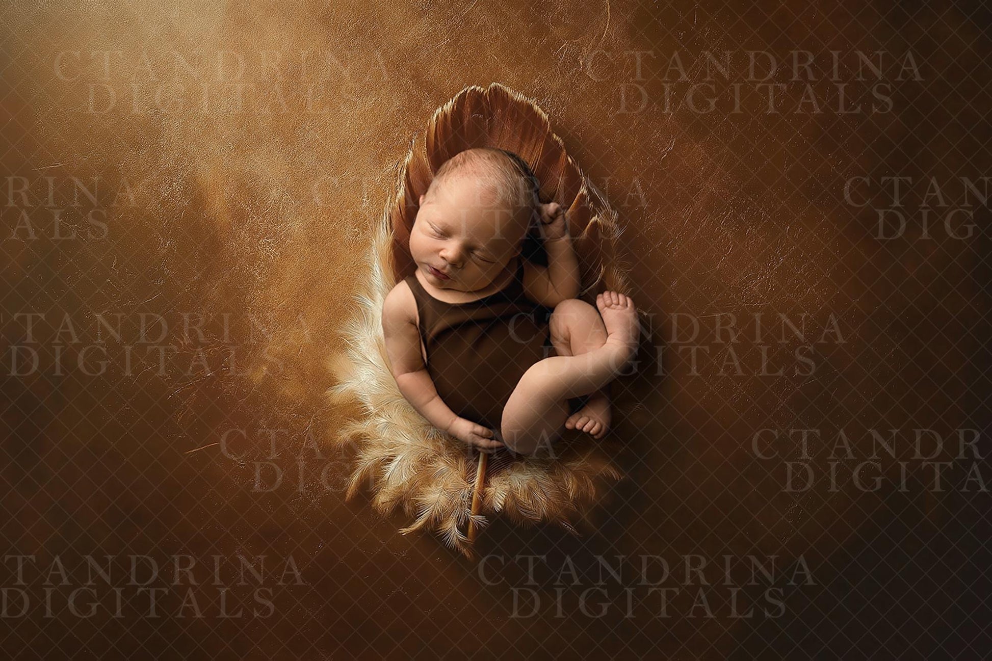 Feather Newborn Digital Backdrop, Thanksgiving Newborn Digital Background, Baby Backdrop, Turkey Baby Digital Backdrop for Photoshop