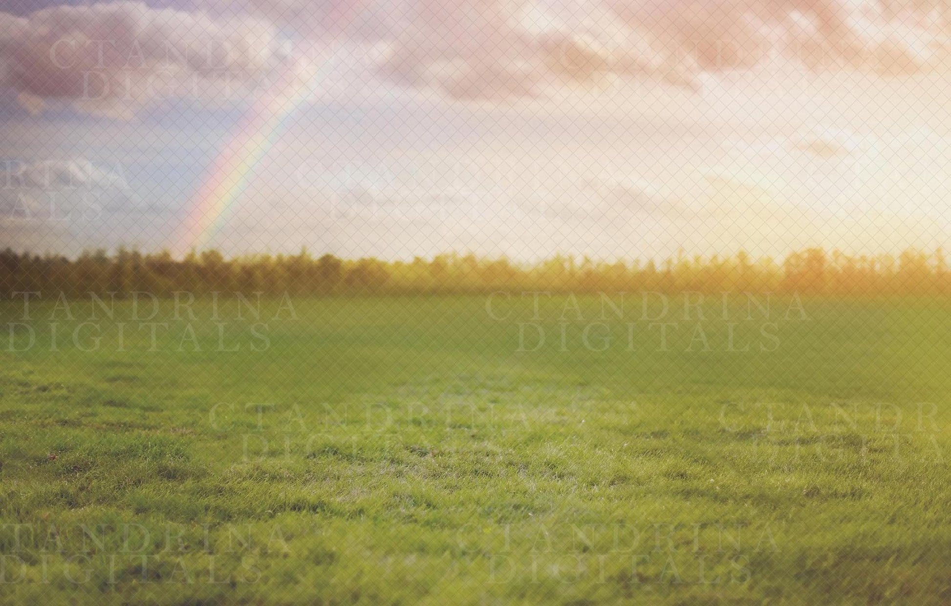 Dreamy Rainbow Field Digital Backdrop