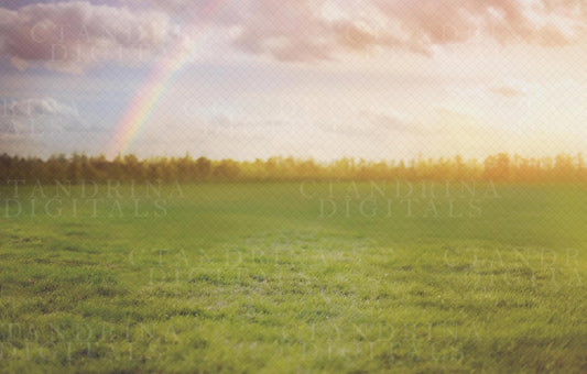 Dreamy Rainbow Field Digital Backdrop