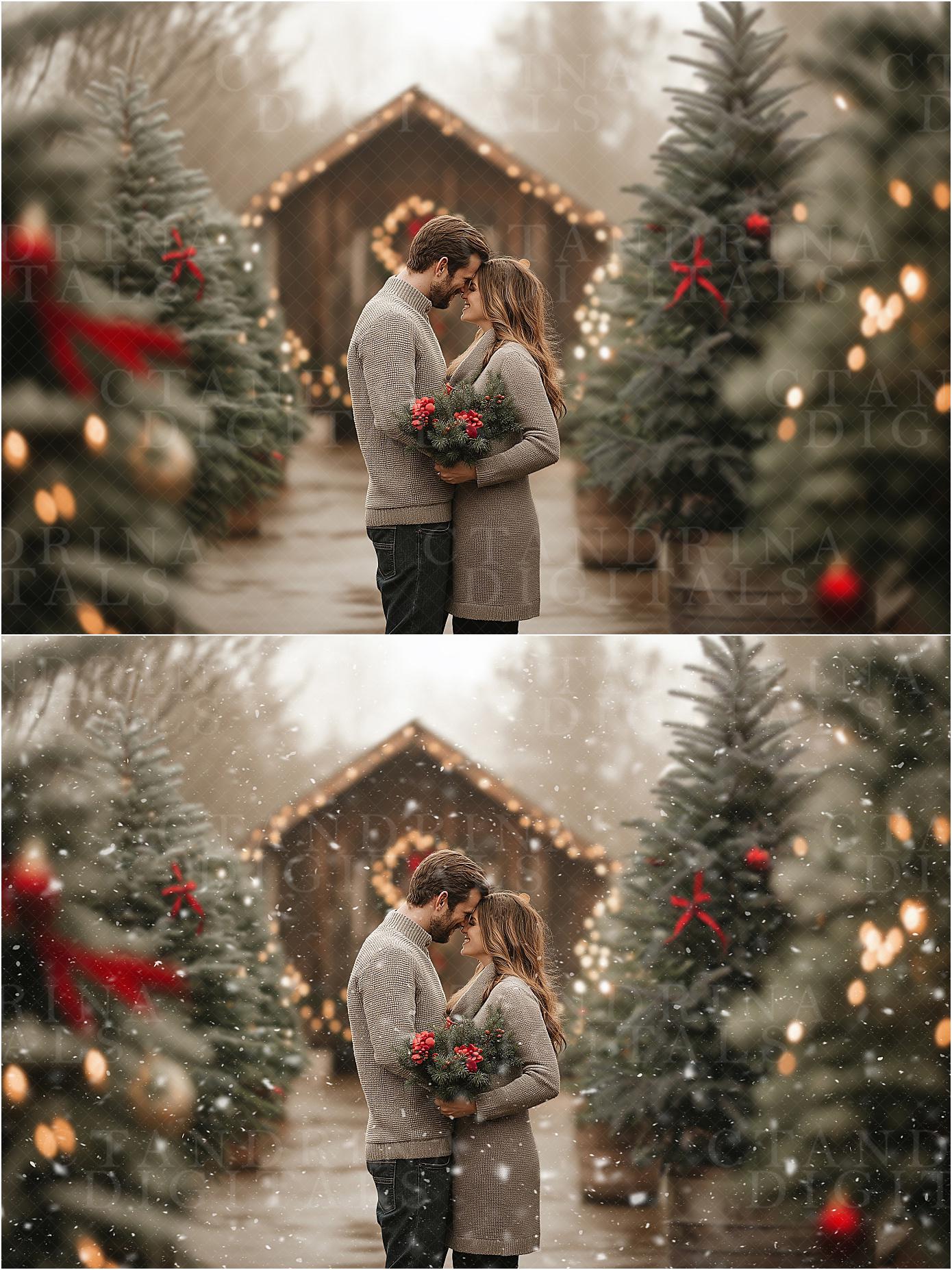 Realistic Snow Overlays for Photoshop, Snowflake Overlays, Dreamy and Realistic Snow Filters for Photoshop, Winter Overlays for Photography