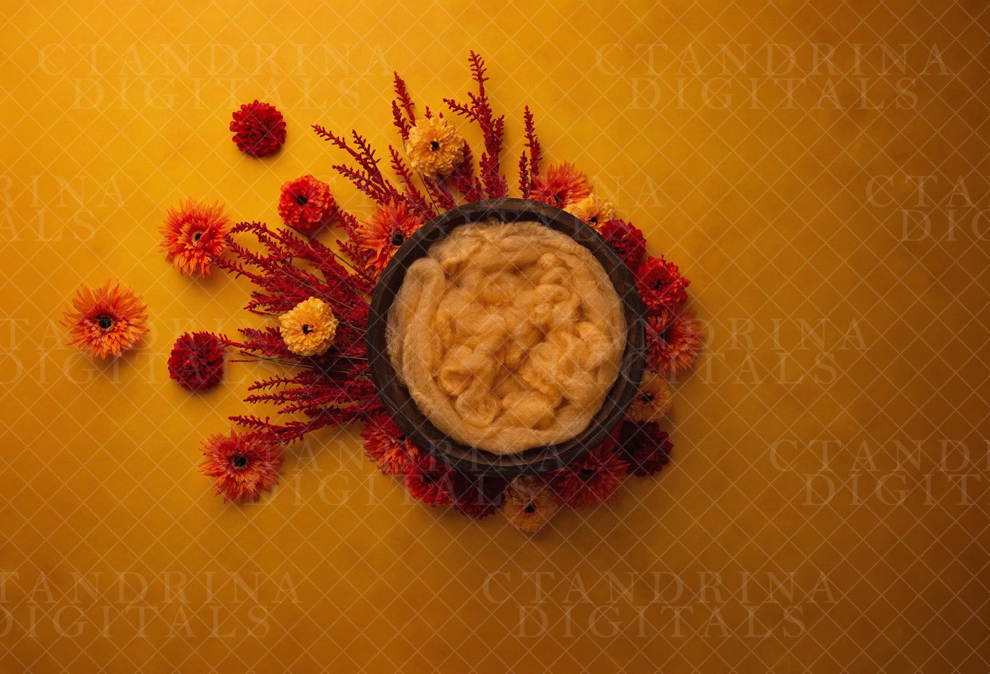 Fall Flowers Spread Newborn Digital Backdrop