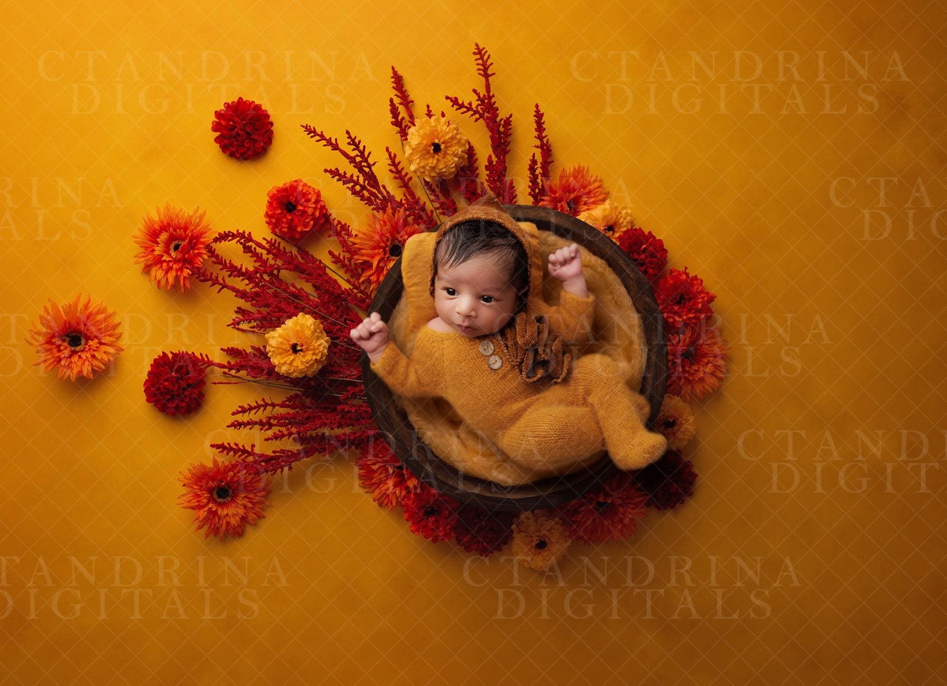 Fall Flowers Spread Newborn Digital Backdrop