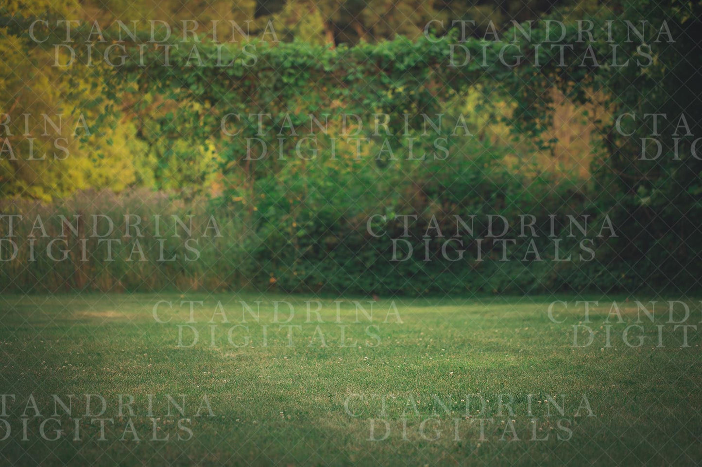 Hanging Green Vine Digital Backdrop