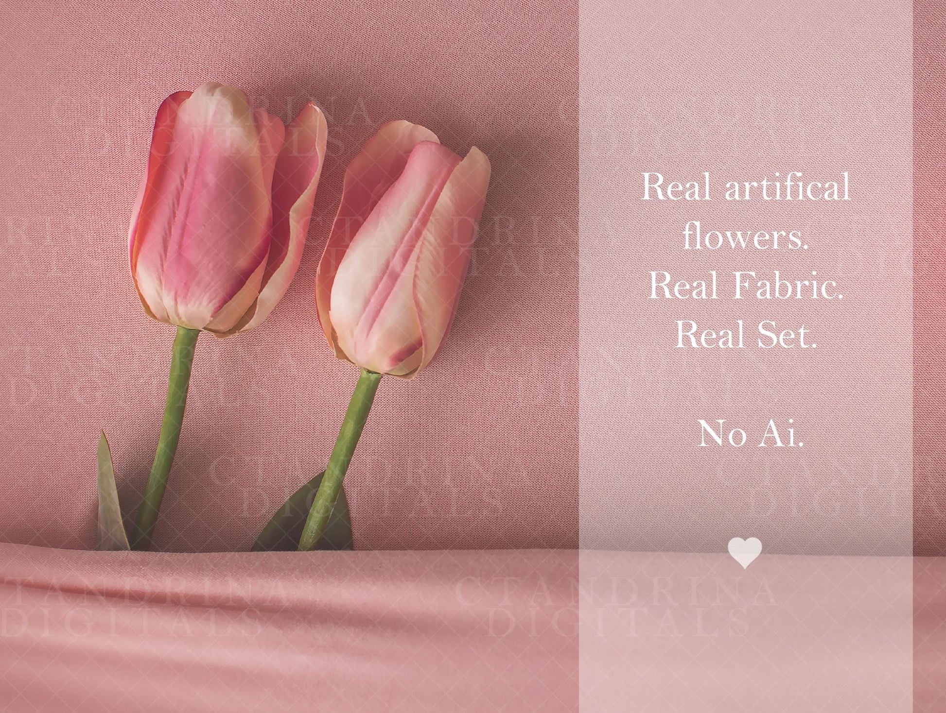 Baby Under Covers with Tulips Newborn Digital Backdrop