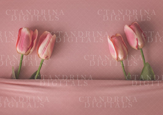 Baby Under Covers with Tulips Newborn Digital Backdrop