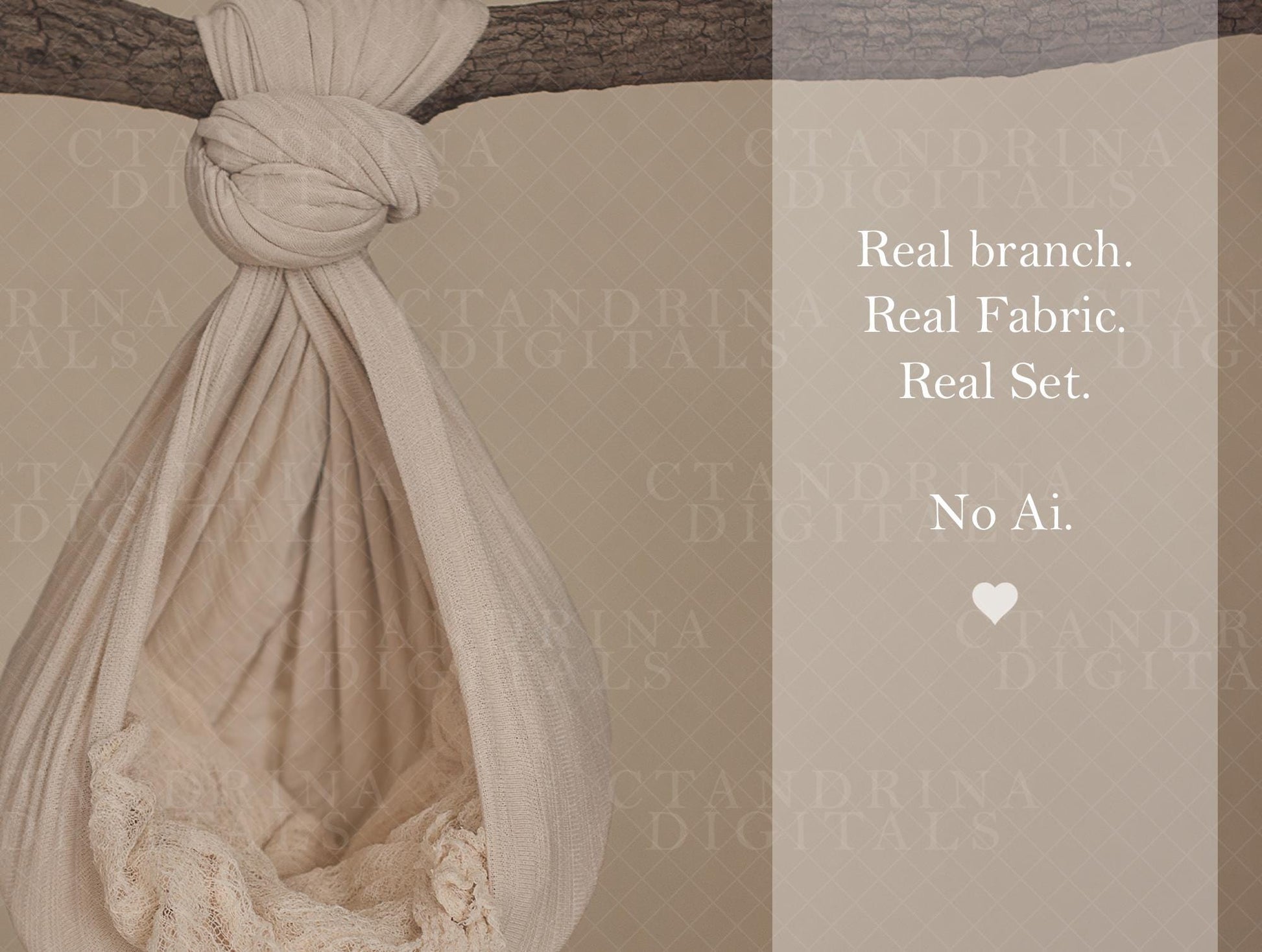 Hanging Hammock Newborn Digital Backdrop