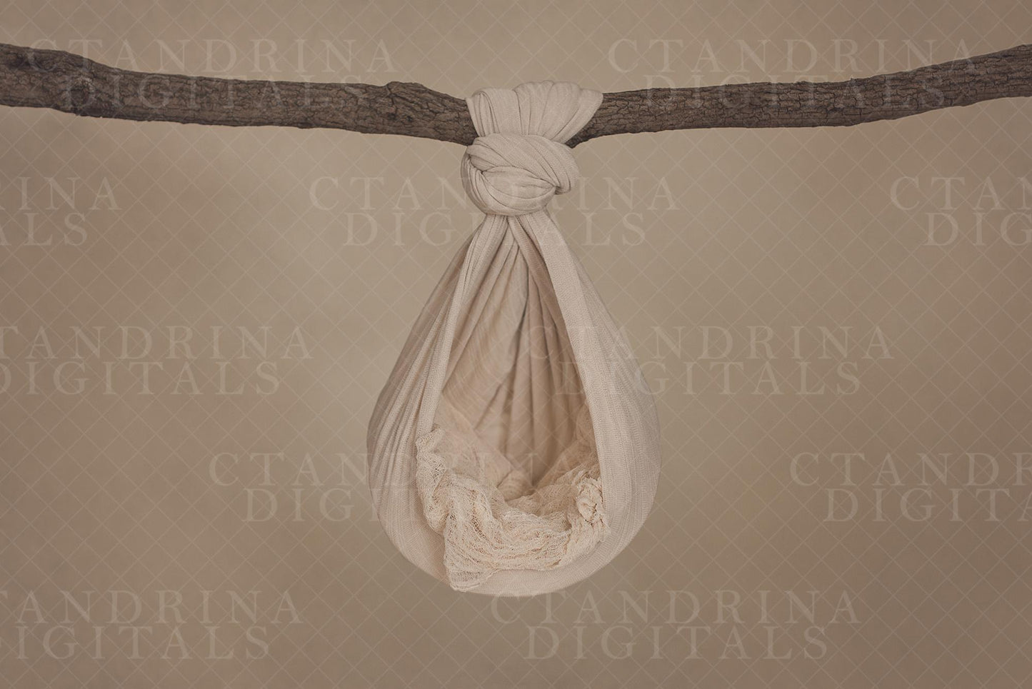 Hanging Hammock Newborn Digital Backdrop