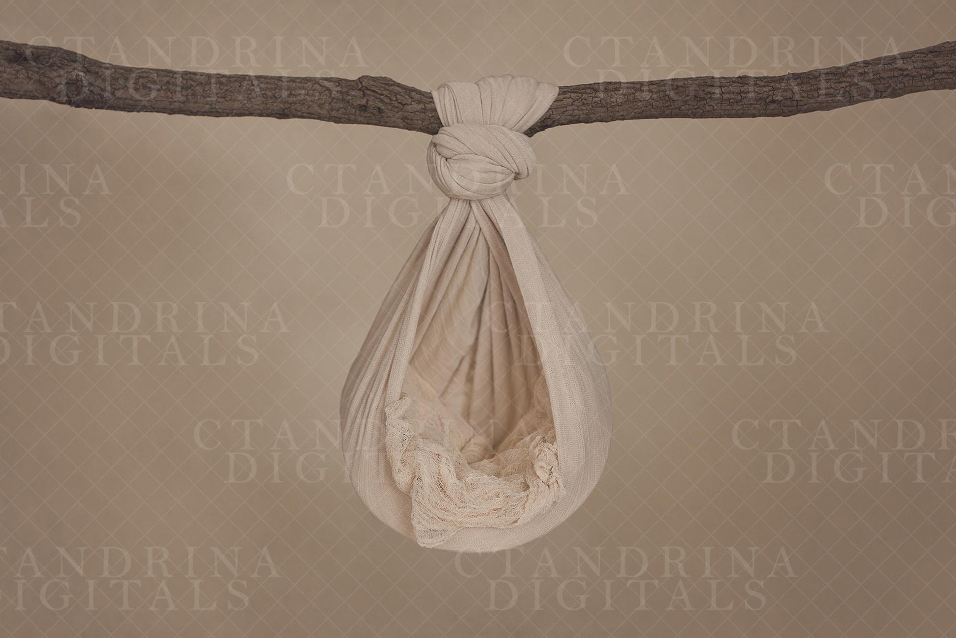 Hanging Hammock Newborn Digital Backdrop