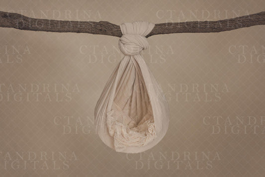 Hanging Hammock Newborn Digital Backdrop