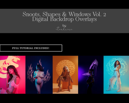Snoot and Shape Digital Backdrop Overlays, Maternity Backdrop Overlays, Digital Overlays With Tutorial, High Quality GOBO Overlays Vol. 2