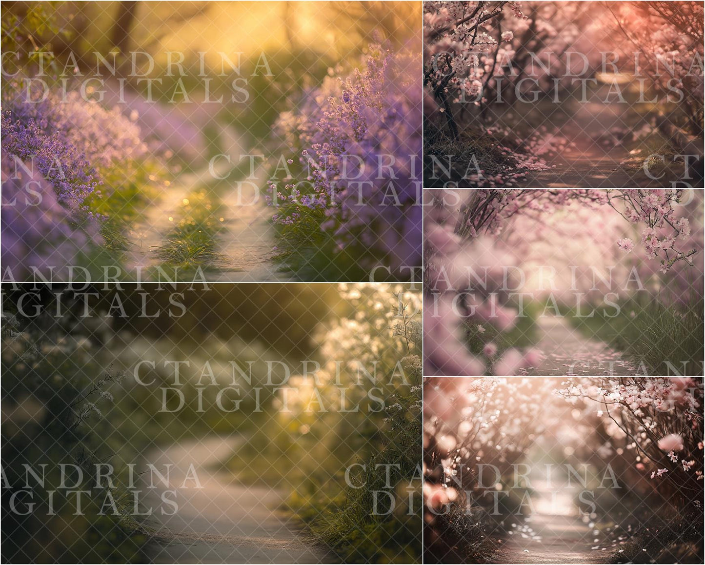 Dreamy Spring Path Digital Backdrops, Floral Digital Backgrounds, Spring Florals, Blurred Branch Overlay Backdrops for Photoshop Composite