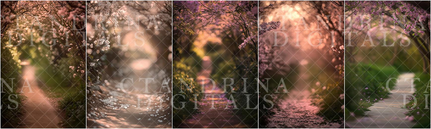 Dreamy Spring Path Digital Backdrops, Floral Digital Backgrounds, Spring Florals, Blurred Branch Overlay Backdrops for Photoshop Composite