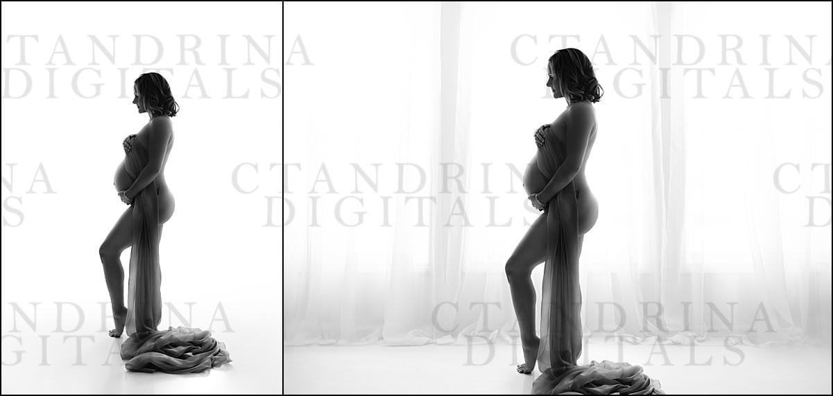 Window Light Digital Backdrop