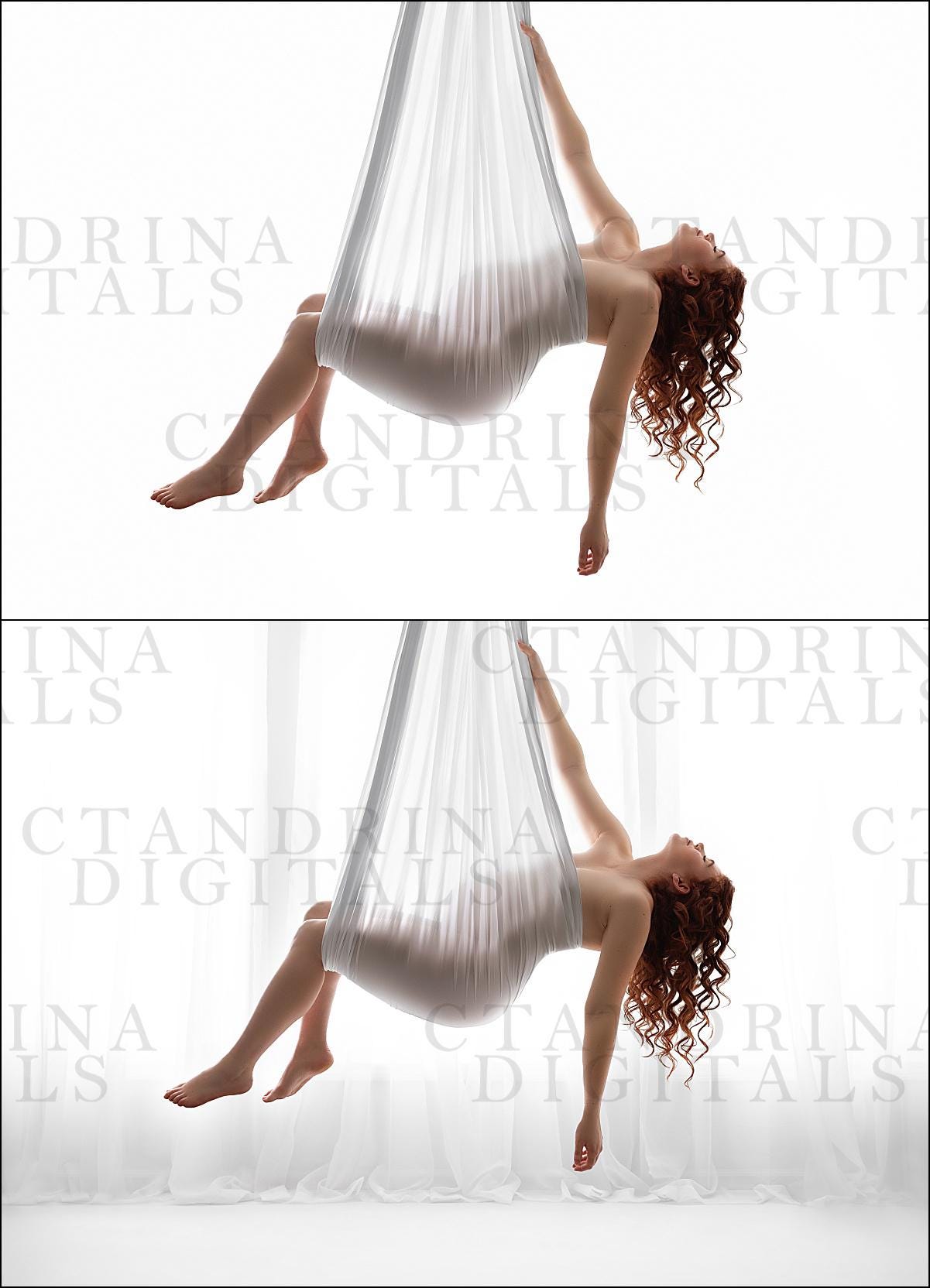 Window Light Digital Backdrop