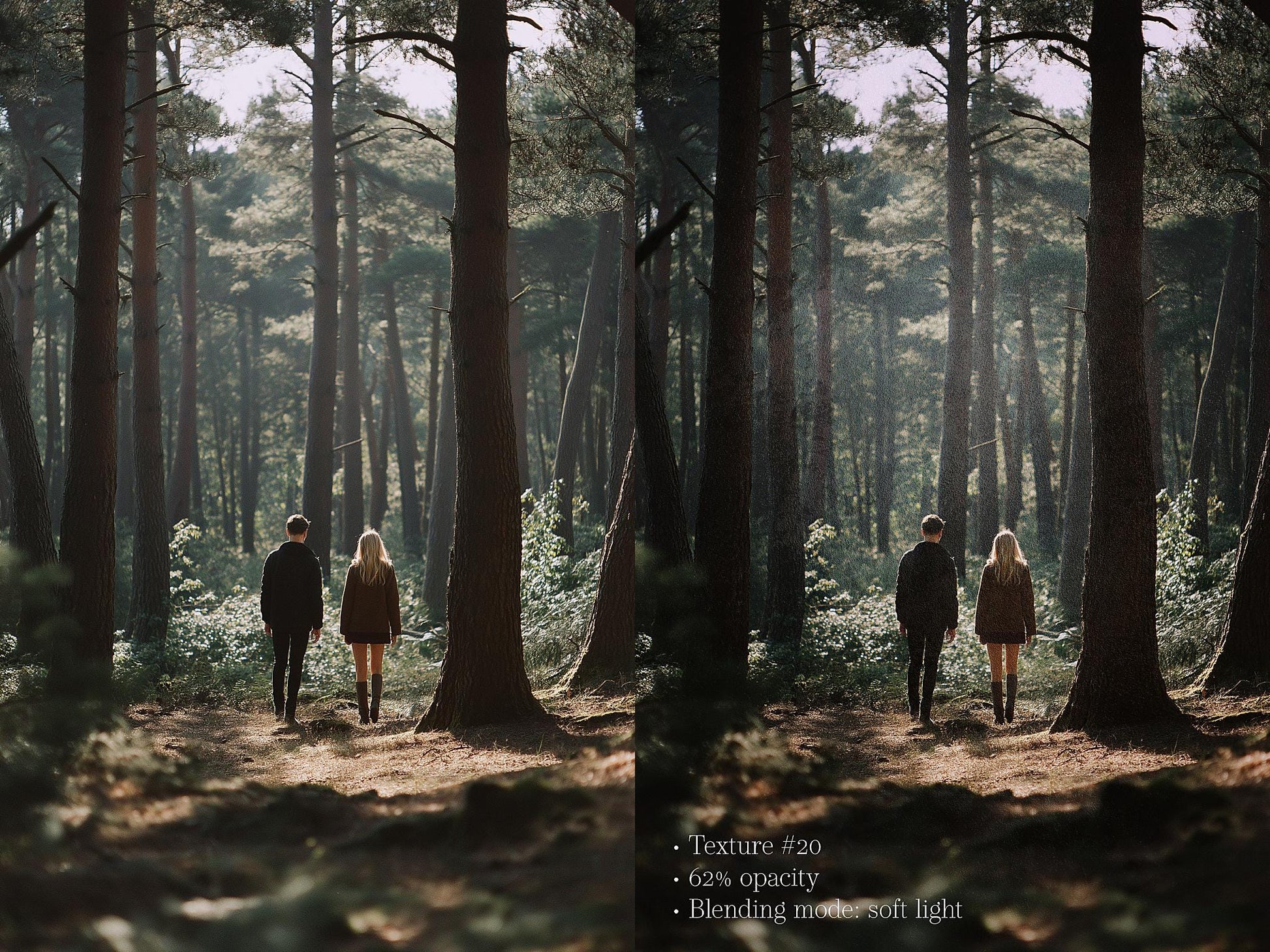 Photoshop Texture Overlays, Forest Film Vol. 1 Texture Overlays for Photoshop, Grain & Grunge, Trendy Texture Overlays with Tutorial