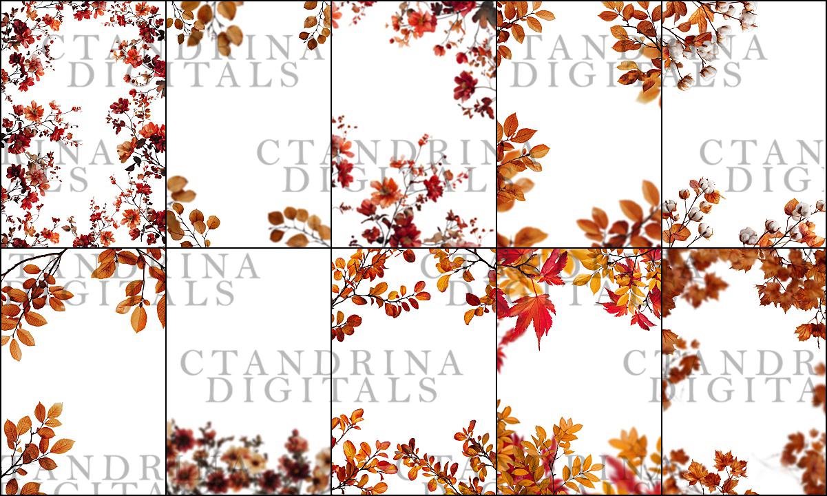 Fall Branch Backdrop Overlays: Floral PNG Branches for Photography (Digital Download)